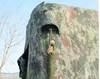 Exercise simulation tent